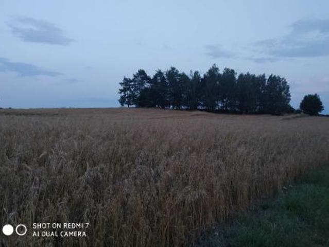 Grunt na sprzedaż w Kobyla Góra, Wielkopolskie