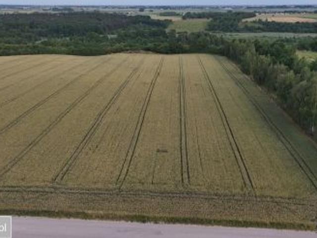 Grunt na sprzedaż w Katarzynki, Wielkopolskie