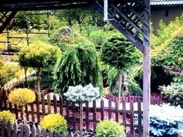 Grunt na sprzedaż w Koluszki, Łódzkie