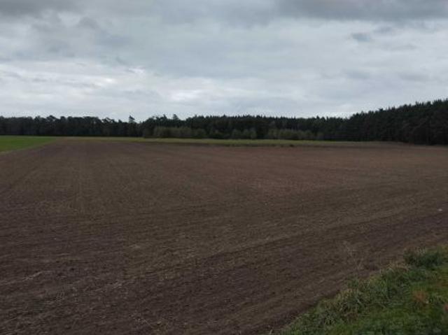 Grunt na sprzedaż w Komorzewo, Wielkopolskie