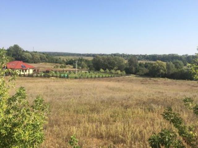 Grunt na sprzedaż w Konin, Wielkopolskie