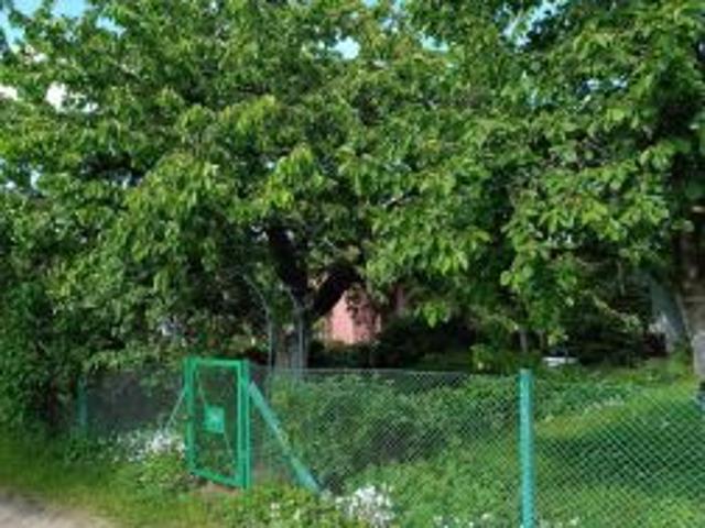 Grunt na sprzedaż w Konin, Wielkopolskie