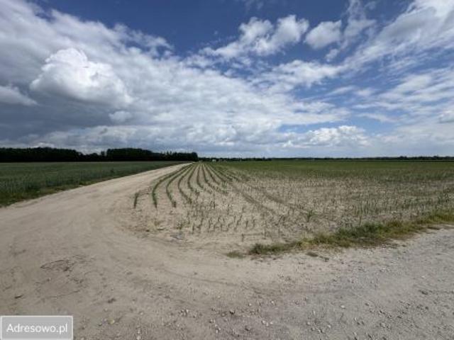 Grunt na sprzedaż w Kórnik, Wielkopolskie