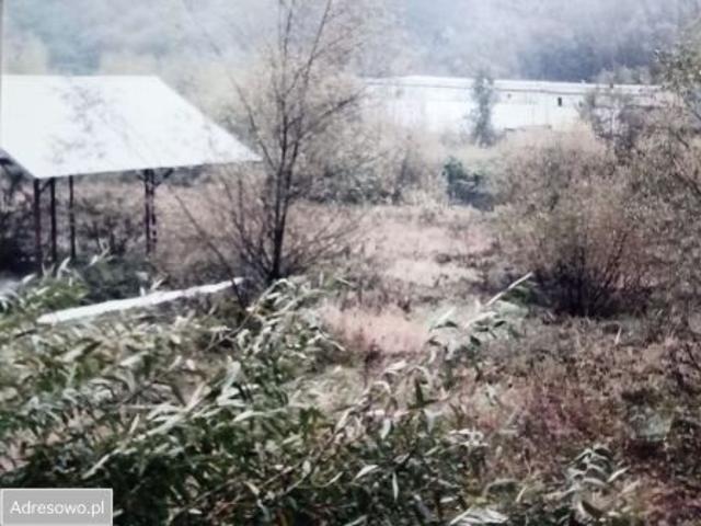 Grunt na sprzedaż w Korzenna, Małopolskie