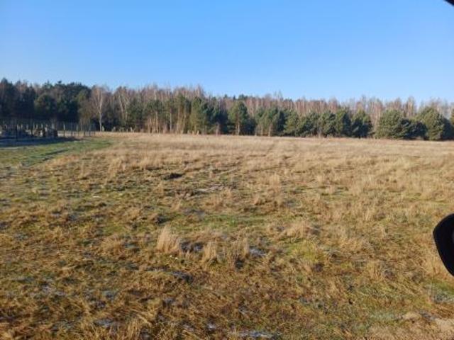 Grunt na sprzedaż w Kostrzyn Nad Odrą, Lubuskie