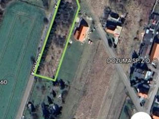 Grunt na sprzedaż w Kotla, Dolnośląskie