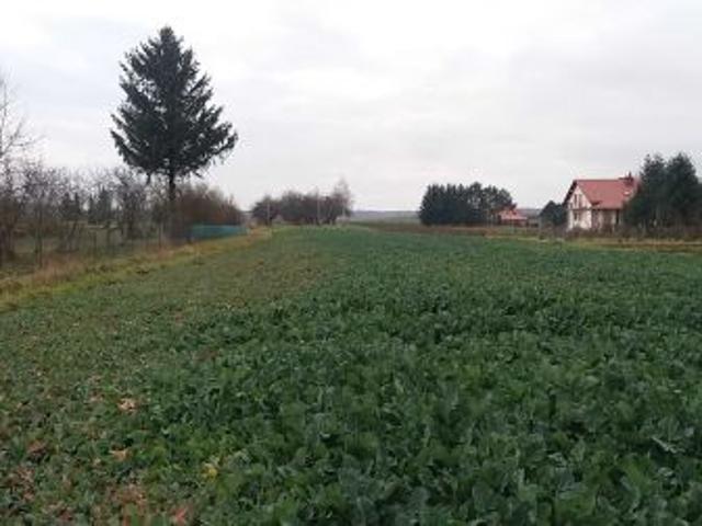 Grunt na sprzedaż w Kraczkowa, Podkarpackie
