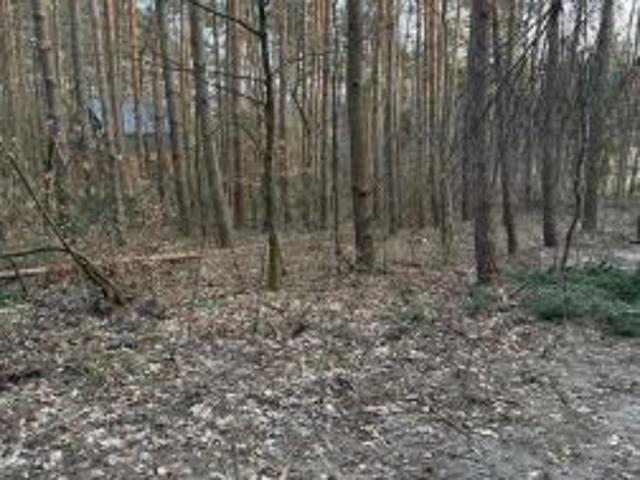 Grunt na sprzedaż w Krasnobród, Lubelskie