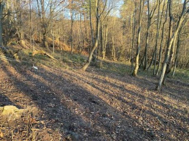 Grunt na sprzedaż w Krościenko Nad Dunajcem, Małopolskie