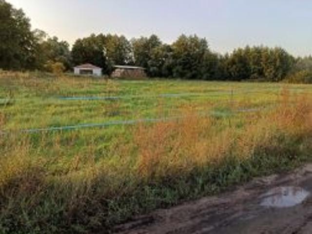Grunt na sprzedaż w Krosinko, Wielkopolskie
