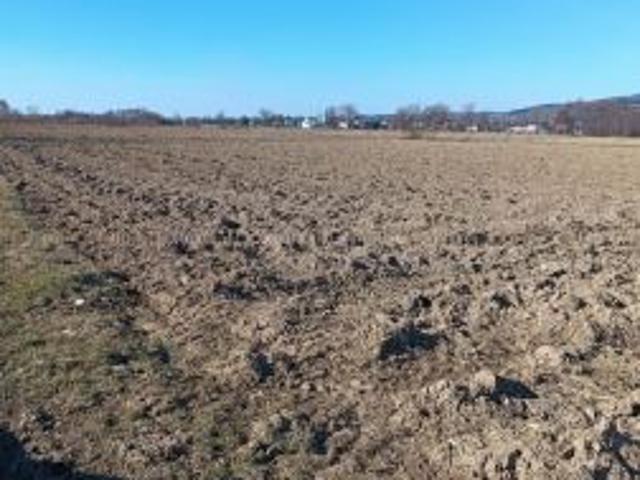 Grunt na sprzedaż w Krosno, Podkarpackie