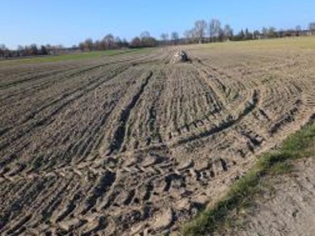 Grunt na sprzedaż w Kruchowo, Wielkopolskie
