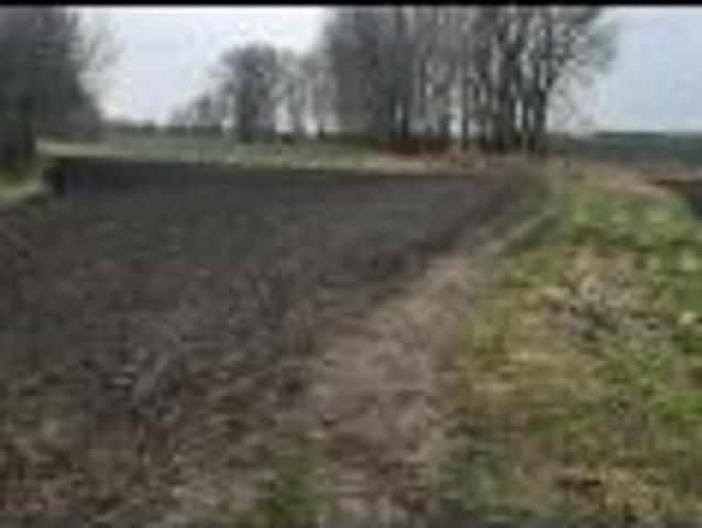 Grunt na sprzedaż w Kruszwica, Kujawsko-pomorskie