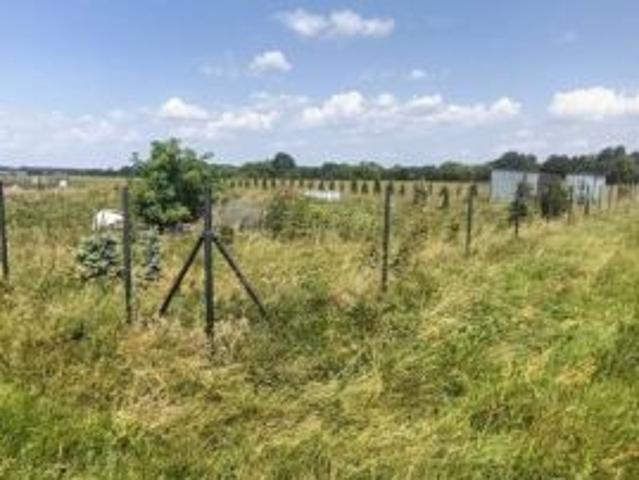Grunt na sprzedaż w Kruszyn, Kujawsko-pomorskie