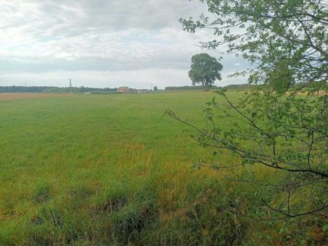 Grunt na sprzedaż w Krzywda, Lubelskie