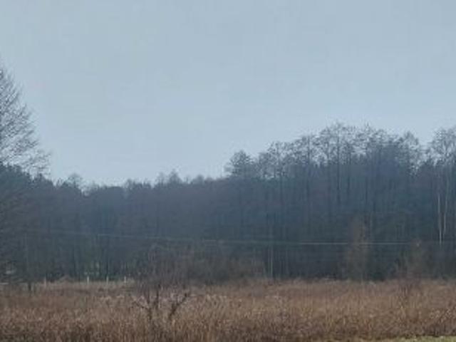 Grunt na sprzedaż w Kuźnica, Podlaskie