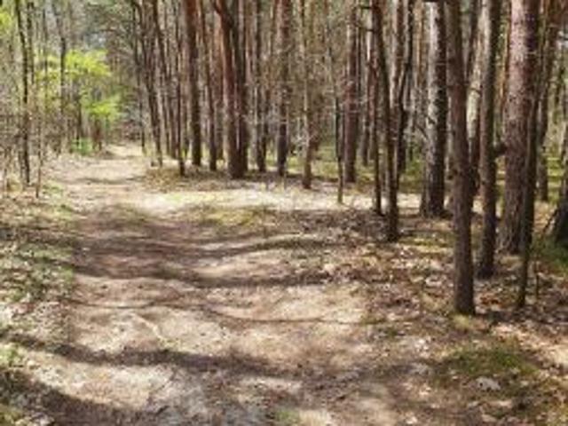 Grunt na sprzedaż w Leżajsk, Podkarpackie