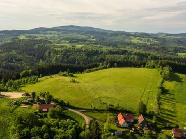 Grunt na sprzedaż w Leśna, Dolnośląskie