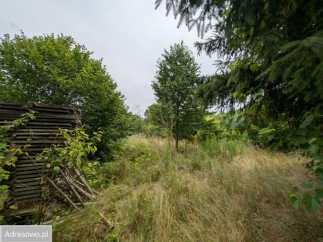Grunt na sprzedaż w Lipinki Łużyckie, Lubuskie