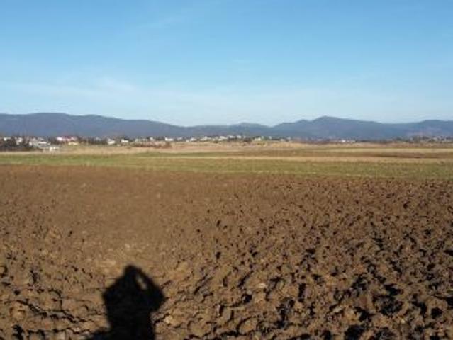 Grunt na sprzedaż w Lipowa, Śląskie