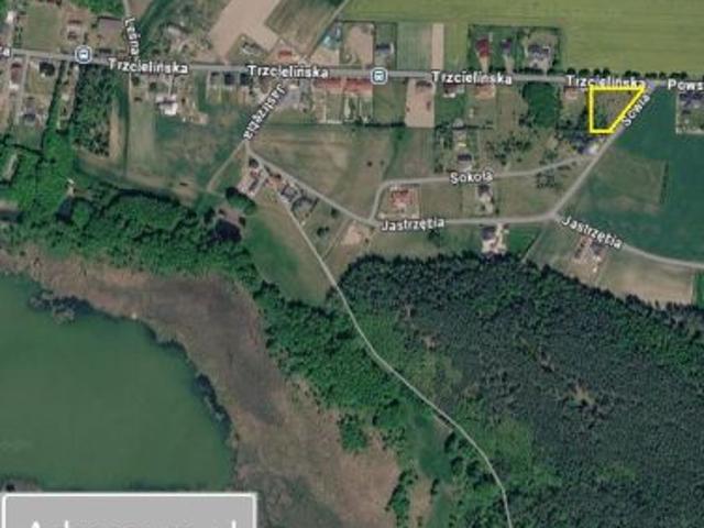 Grunt na sprzedaż w Trzcielin, Wielkopolskie