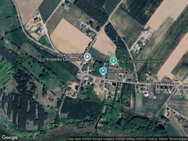 Grunt na sprzedaż w Trzcielin, Wielkopolskie
