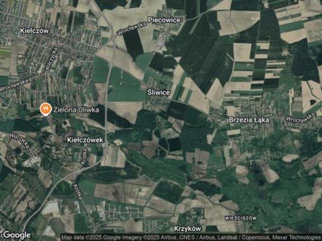Grunt na sprzedaż w Śliwice, Dolnośląskie