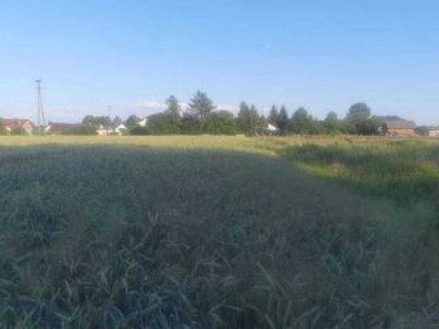 Grunt na sprzedaż w Lubaczów, Podkarpackie