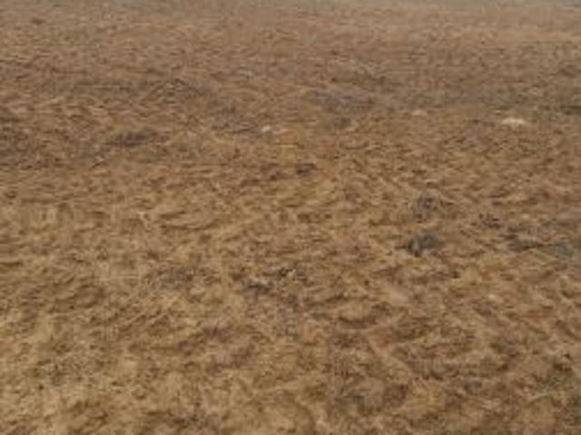 Grunt na sprzedaż w Lubiewo, Kujawsko-pomorskie