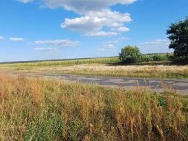 Grunt na sprzedaż w Lubochnia, Wielkopolskie