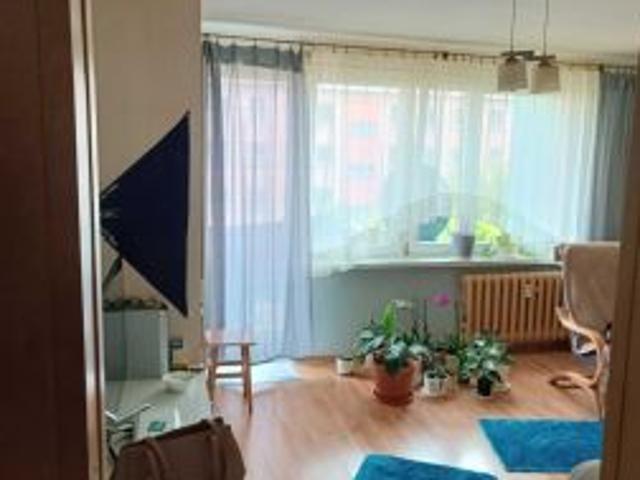 Mieszkanie na sprzedaż w Małogoszcz, Świętokrzyskie