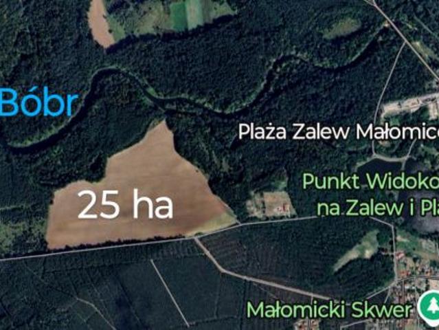 Grunt na sprzedaż w Małomice, Lubuskie