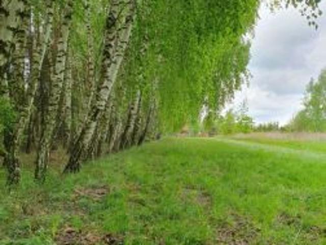 Grunt na sprzedaż w Lubelskie