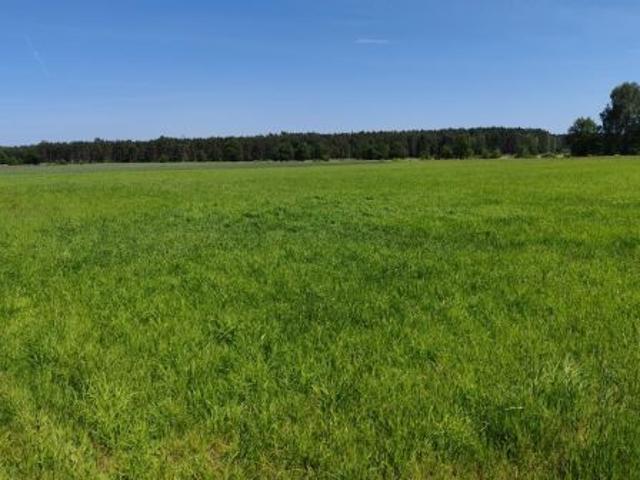 Grunt na sprzedaż w Marunowo, Wielkopolskie