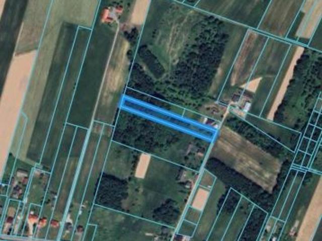 Grunt na sprzedaż w Masłów Pierwszy, Świętokrzyskie