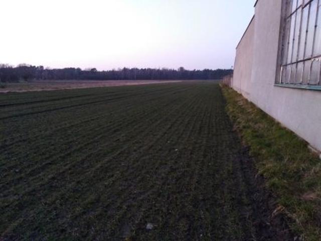 Grunt na sprzedaż w Miejska Górka, Wielkopolskie