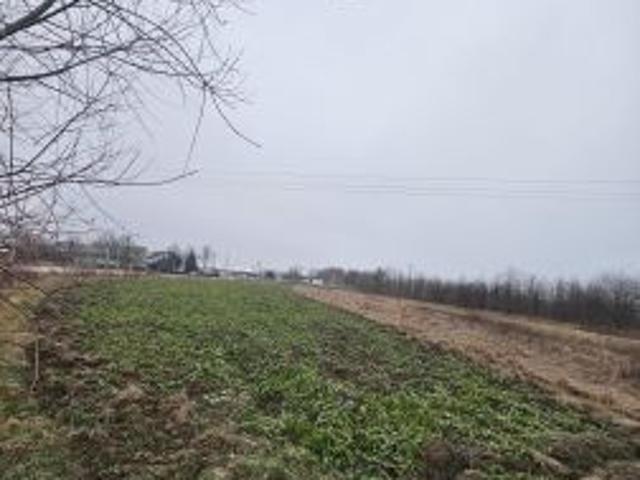 Grunt na sprzedaż w Mielec, Podkarpackie