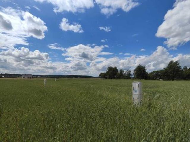 Grunt na sprzedaż w Śmigiel, Wielkopolskie