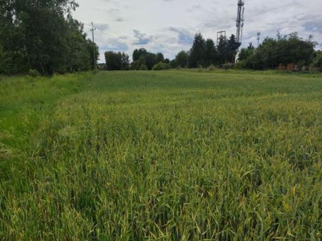 Grunt na sprzedaż w Mikołów, Śląskie