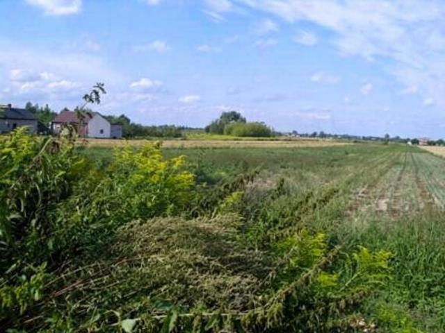 Grunt na sprzedaż w Milęcin, Mazowieckie