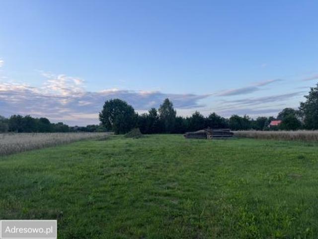 Grunt na sprzedaż w Milanów, Lubelskie