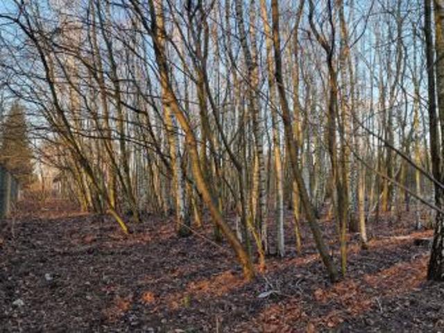 Grunt na sprzedaż w Milanówek, Mazowieckie