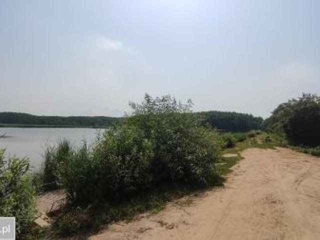 Grunt na sprzedaż w Milejczyce, Podlaskie