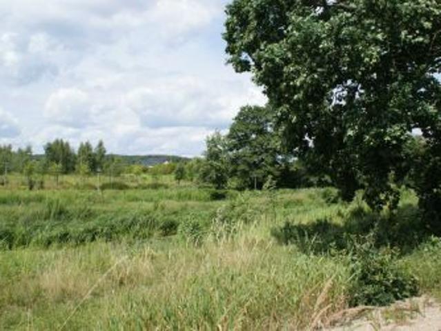 Grunt na sprzedaż w Mosina, Wielkopolskie