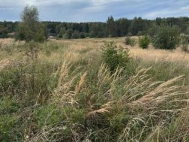 Grunt na sprzedaż w Mysłowice, Śląskie