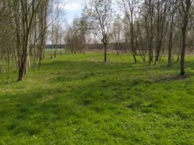 Grunt na sprzedaż w Myszków, Śląskie