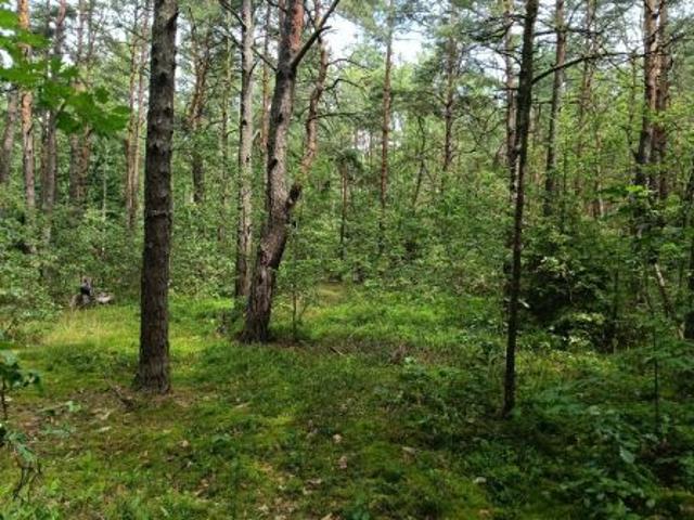 Grunt na sprzedaż w Myszków, Śląskie