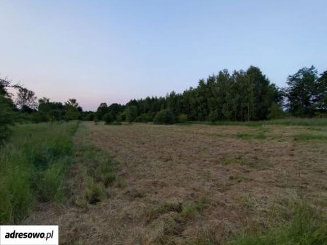 Grunt na sprzedaż w Myszków, Śląskie