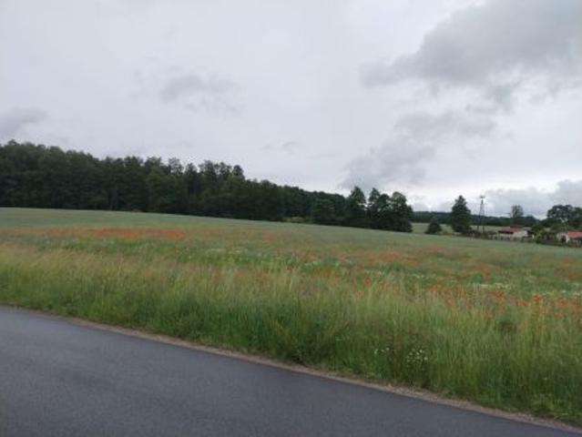 Grunt na sprzedaż w Nekla, Kujawsko-pomorskie