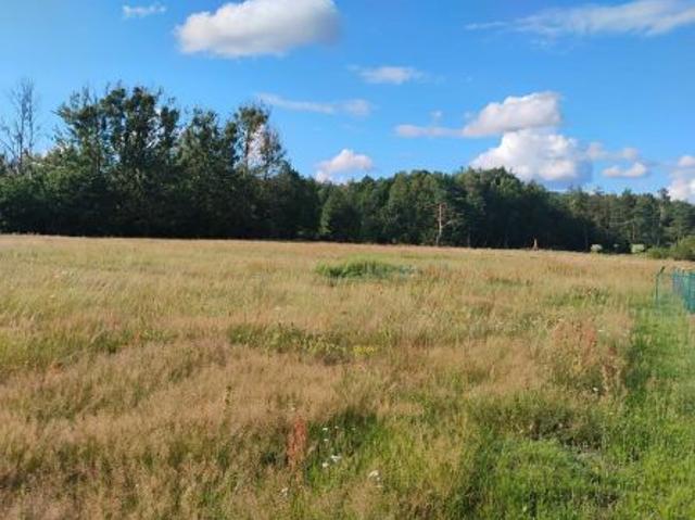 Grunt na sprzedaż w Niekursko, Wielkopolskie